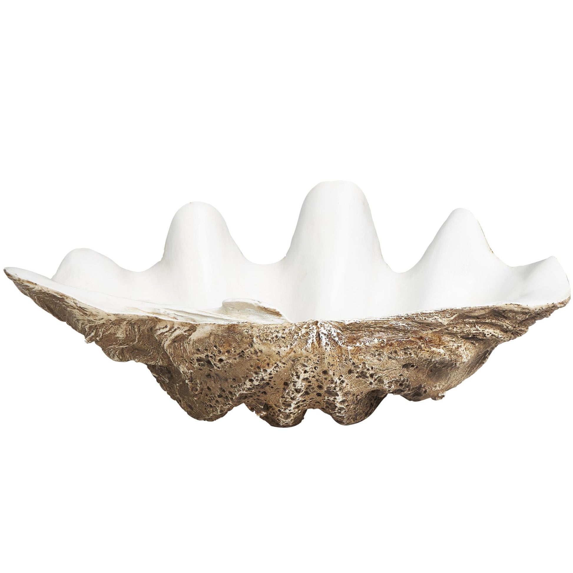 Shell Brown Polystone Large Decorative Bowl with White Interior