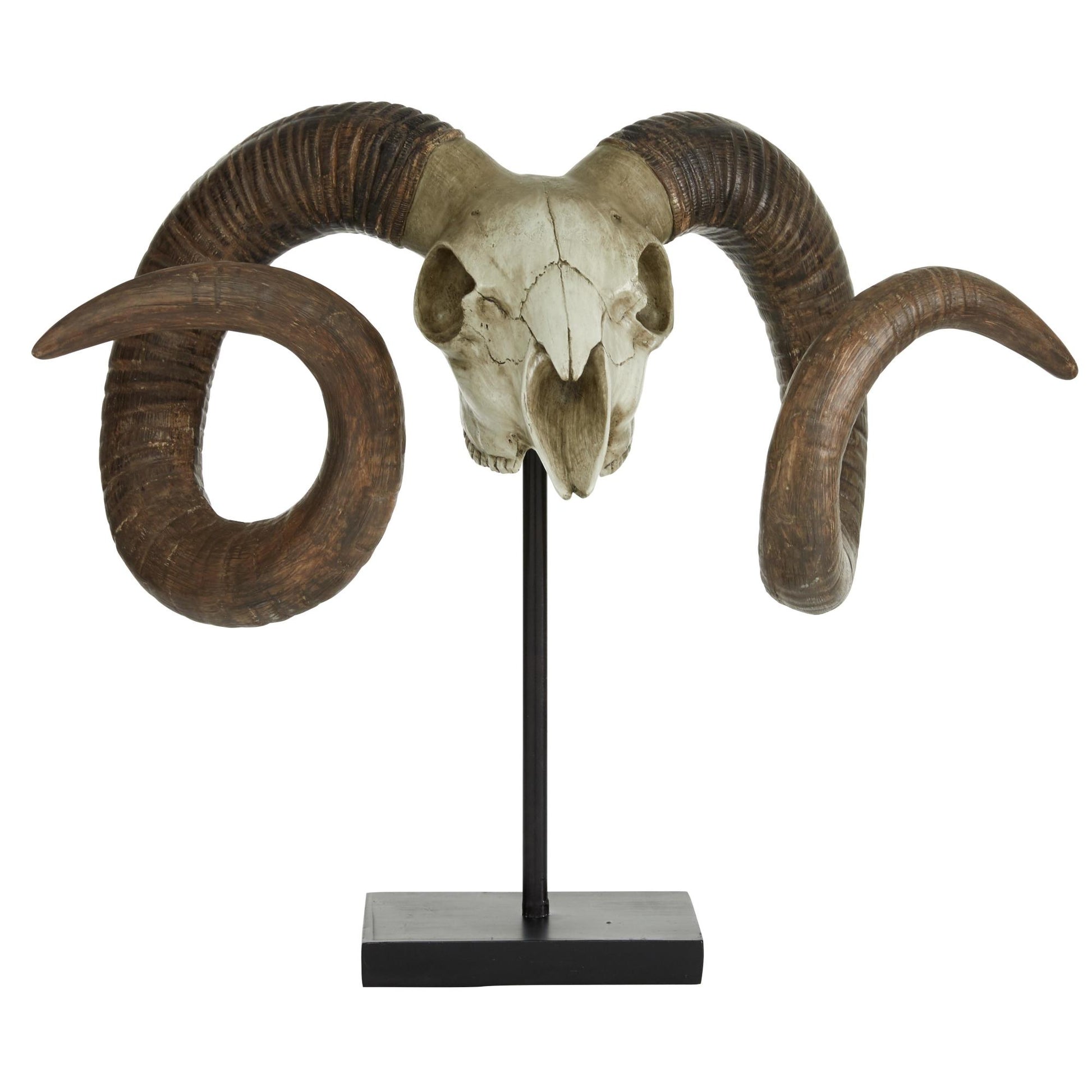 Ram Brown Polystone Skull Decorative Sculpture