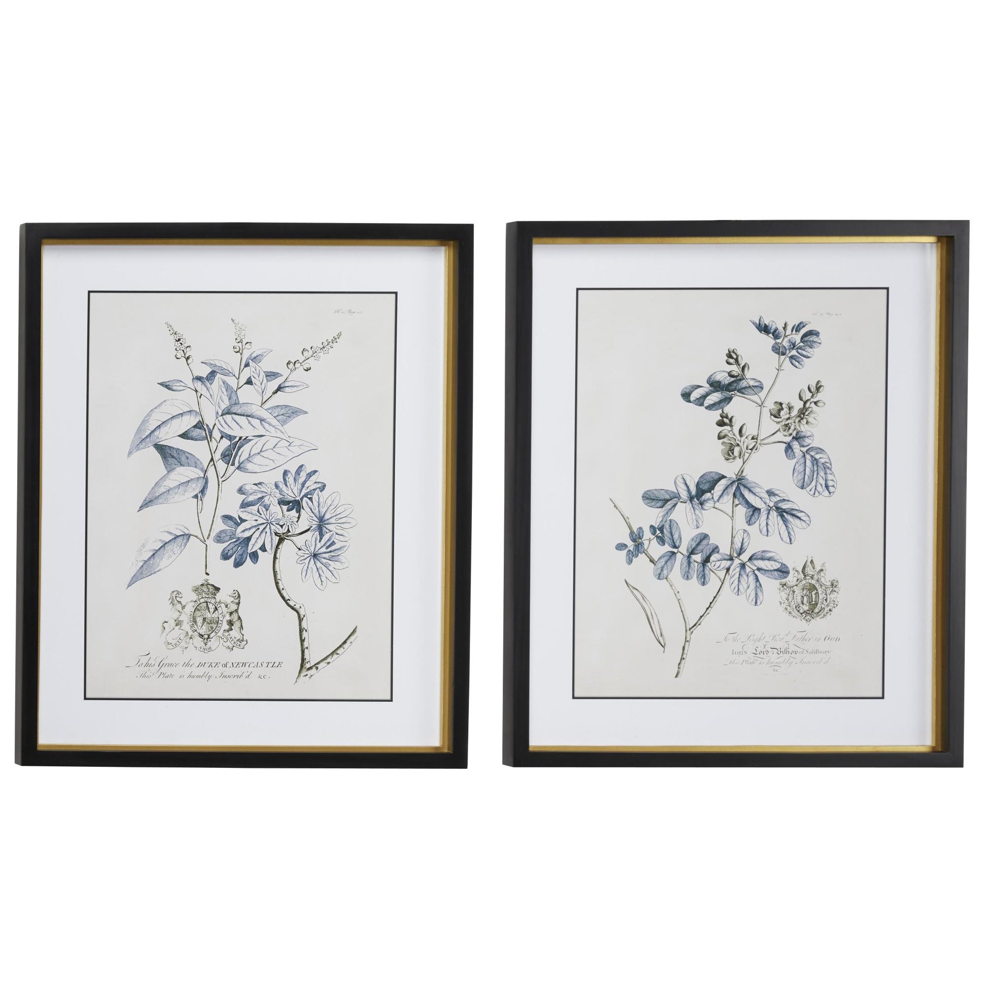 Set of 2 Floral Blue Wood Home Shadow Box with Black and Gold Frame